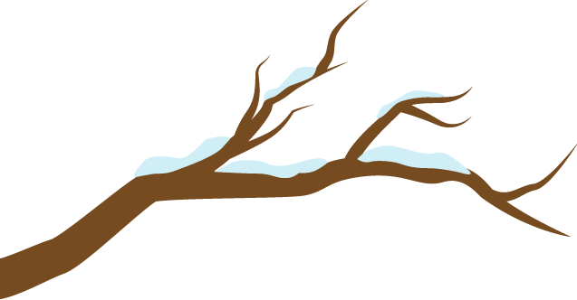 “ky.com”
【景区梅岭街道丰乐社区】掩护生态情况 共创优美家园(图3)