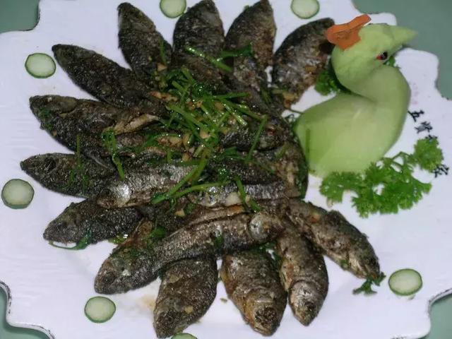 ky开元-青松讲盘:期货行情1月31日操作建议【新年快乐】(图2) ky开元-青松讲盘:期货行情1月31日操作建议【新年快乐】(图2)